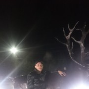  ,   Lexa, 43 ,   ,   , c 