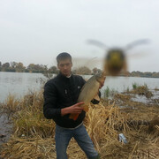 ���������� ������, ���� ������� ����, 37 ���, ������������ ��� ������, ����� � ���������, c�������� ���������