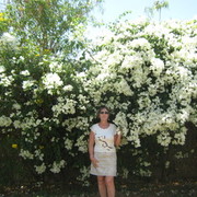  -,   , 64 ,   ,   , c 