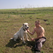 ���������� ������, ���� ������� Den, 36 ���, ������������ ��� ������, ����� � ���������, c�������� ���������