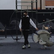 ���������� ������, ���� ����� ����, 24 ����, ������������ ��� ������, ����� � ���������, c�������� ���������