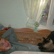  ,   , 51 ,     , c 