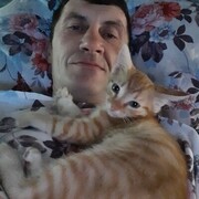  ,   , 49 ,   ,   , c , 