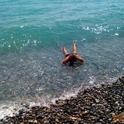 ���������� �����, ���� ������� �����, 36 ���, ������������ ��� ������, ����� � ���������, c�������� ���������