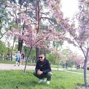  ,   , 29 ,   