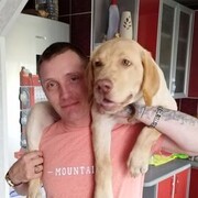 ���������� ������, ���� ������� ���������, 40 ���, ������������ ��� ������, ����� � ���������, c�������� ���������, ���������