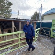 ���������� �����, ���� ������� ����, 33 ����, ������������ ��� ������, ����� � ���������, c�������� ���������, ���������