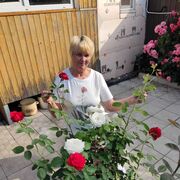  ,   , 65 ,   c 