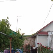 ���������� �������, ���� ������� ������, 40 ���, ������������ ��� ������, ����� � ���������, c�������� ���������