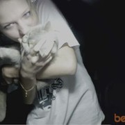 ���������� �������, ���� ������� ����, 32 ����, ������������ ��� ����� � ���������, c�������� ���������