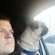 ���������� �����-���������, ���� ������� ϸ��, 33 ����, ������������ ��� ������, ����� � ���������