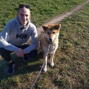 ���������� ��������, ���� ������� ���������, 27 ���, ������������ ��� ������, ����� � ���������