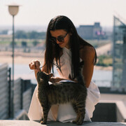 ���������� ������-��-����, ���� ������� ����, 38 ���, ������������ ��� ������, ����� � ���������