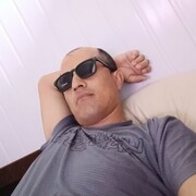  ,  , 43