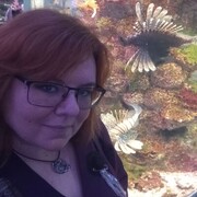 ���������� �������, ���� ������� ����, 42 ����, ������������ ��� ����� � ���������, c�������� ���������, ���������