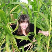 ���������� �������, ���� ������� �����, 41 ���, ������������ ��� ������, ����� � ���������, c�������� ���������