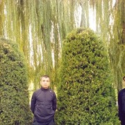 ,   Asror, 37 ,     , c 