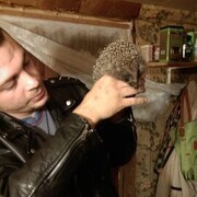 ���������� ������, ���� ������� Dima, 36 ���, ������������ ��� ������, ����� � ���������