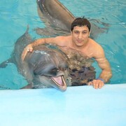 ���������� �����������, ���� ������� �����, 37 ���, ������������ ��� ������, ����� � ���������