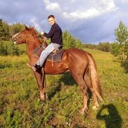 ���������� �������, ���� ������� �������, 41 ���, ������������ ��� ������, ����� � ���������, c�������� ���������, ���������