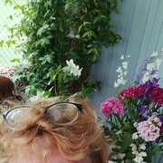  ,   , 54 ,   ,   , c , 