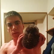  ,   , 29 ,   