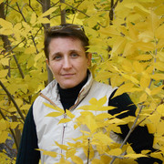  ,   , 50 ,   