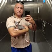  ,   , 41 ,   ,   , c , 