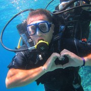 ���������� �������, ���� ������� Dachi dachi, 38 ���, ������������ ��� ������, ����� � ���������, c�������� ���������