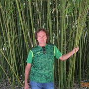  ,   , 51 ,     , c 