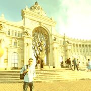 ���������� ������, ���� ������� �����, 33 ����, ������������ ��� ����� � ���������