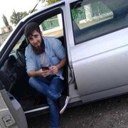  ,   Maga, 27 ,   ,   