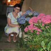  ,   , 65 ,   ,   , c 