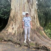 ���������� ������, ���� ������� �������, 55 ���, ������������ ��� ������, ����� � ���������