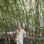 ���������� �������, ���� ������� ����, 57 ���, ������������ ��� ������, ����� � ���������, c�������� ���������