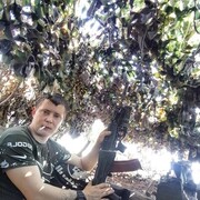 ���������� ������, ���� ������� �����, 27 ���, ������������ ��� ������, c�������� ���������