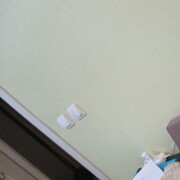 ���������� ������ ��������, ���� ������� �������, 29 ���, ������������ ��� ������, ����� � ���������