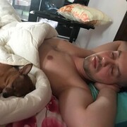 ���������� ������ ��������, ���� ������� ������, 36 ���, ������������ ��� ����� � ���������, c�������� ���������