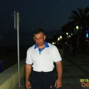  -,   Toro rosso, 51 ,   