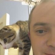  ,   , 44 ,   , 