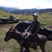  ,   , 43 ,   ,   , c , 