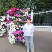 ���������� ������, ���� ������� �������, 65 ���, ������������ ��� ������, ����� � ���������, c�������� ���������