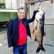  ,   , 50 ,   ,   , c 