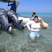 ���������� ����, ���� ������� �˨��, 50 ���, ������������ ��� c�������� ���������, ���������