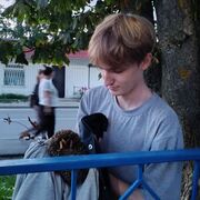 ���������� ������, ���� ����� ����, 20 ���, ������������ 