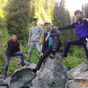  ,   87784266641, 33 ,   
