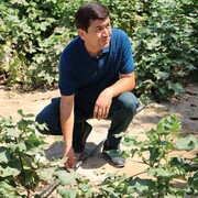 ���������� ��������, ���� ������� ��������, 35 ���, ������������ ��� ������, ����� � ���������