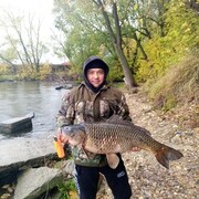 ���������� ������, ���� ������� ��������, 38 ���, ������������ ��� ������, ����� � ���������