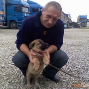 ���������� �����-���������, ���� ������� Mersedes, 66 ���, ������������ ��� ������