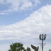 ���������� ������, ���� ������� �������, 34 ����, ������������ ��� ������, ����� � ���������, c�������� ���������